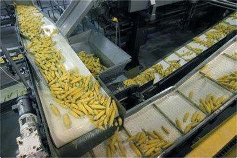 Food Processing Machinery - Global Market Outlook (2015-2022)