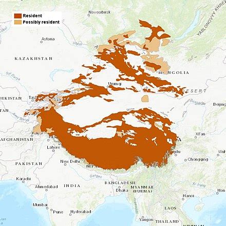 Bayarjargal Agvaantseren - Wikipedia