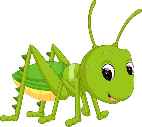 Insect cricket cartoon stock illustration. Illustration of cricket ...