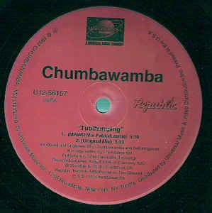 Chumbawamba - Tubthumping (1997, Vinyl) | Discogs