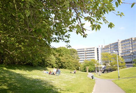 Campus safety called into question after ULB student sexually assaulted ...