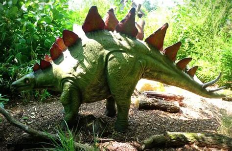 Stegosaurus - Description, Habitat, Image, Diet, and Interesting Facts