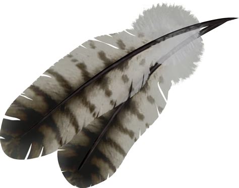 Feather Bird - Feather PNG png download - 2185*1725 - Free Transparent Feather png Download ...