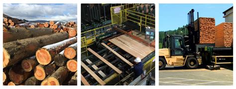 Stimson Lumber Company Mission, Benefits, and Work Culture | Indeed.com