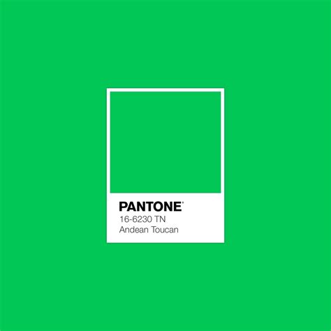 PANTONE 16-6230 TN Andean Toucan Color Swatch | Pantone, Pantone colour palettes, Pantone palette