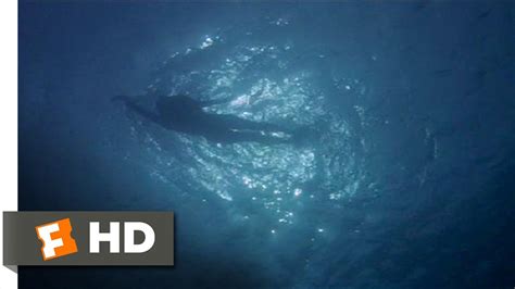 Remember the blockbuster movie 'Jaws'? Newly uncovered photos found