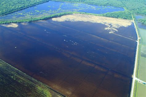 Agriculture and Sewage Dead Zone: Taking on Nutrient Pollution in the Mississippi River ...