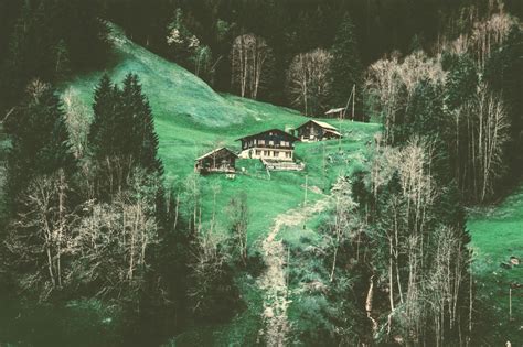 Landscape and Cabins in the Conifer forest image - Free stock photo - Public Domain photo - CC0 ...