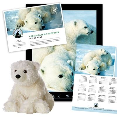 Adopt a Polar Bear | Shop NWF