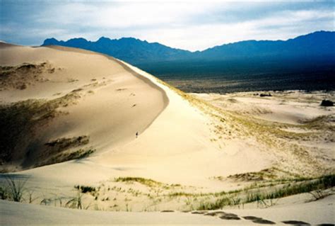 Mojave Wilderness - Mojave National Preserve (U.S. National Park Service)