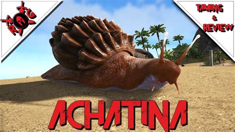 ARK: ACHATINA TAMING & REVIEW! Patch 252 - YouTube