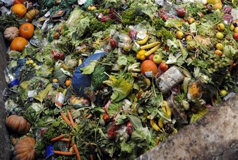 Biowaste management and circular economy