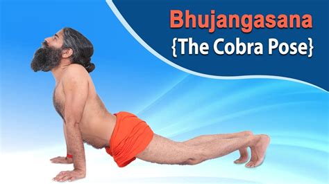 Bhujangasana Steps