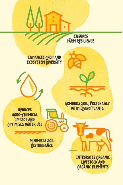 Smart & Sustainable Farming - McCain Foodservice