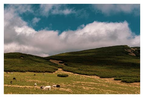 Hiking in the Carpathian Mountains: September edition | Behance :: Behance