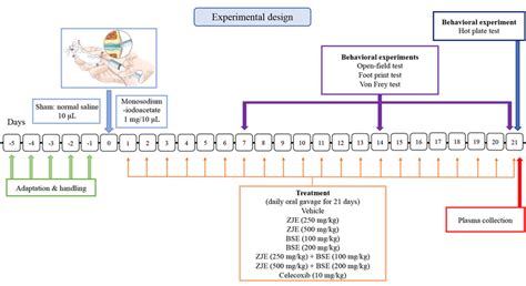 Schematic diagram of the experimental design | Download Scientific Diagram