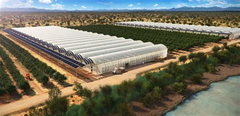 Seawater greenhouses to bring life to the desert