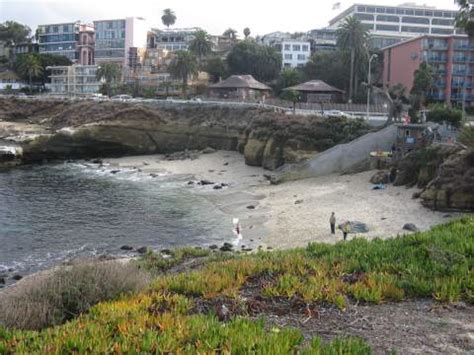 Scenic La Jolla Cove | Charming La Jolla Cove San Diego