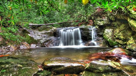 Forest Waterfall Wallpapers - Top Free Forest Waterfall Backgrounds - WallpaperAccess