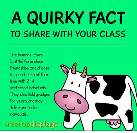 A quirky fact about cows to share with your class - from Treetop ...