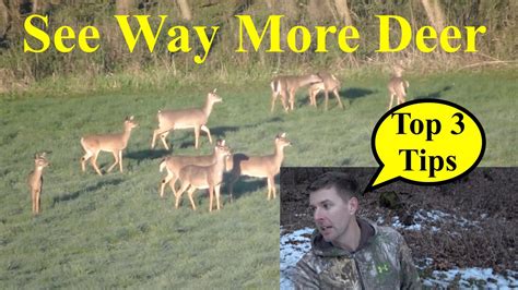 Top 3 Bowhunter Tips To See More Deer Shoot Big Bucks! - YouTube