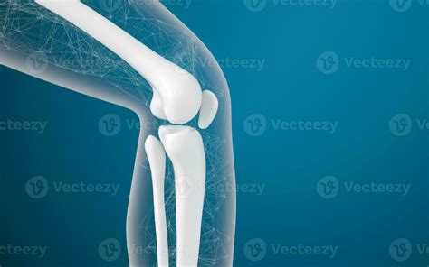 Leg bones and knees, 3d rendering. 27861070 Stock Photo at Vecteezy