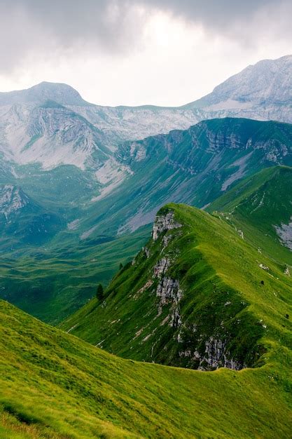 Free Photo | Beautiful vertical shot of a long mountain peak covered in green grass. Perfect for ...