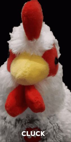 Chicken Kogosh GIF - Chicken Kogosh Cluck - Discover & Share GIFs