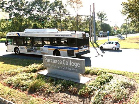 'Nazi-themed' posters found on SUNY Purchase campus, police say - ABC News