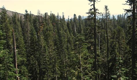 Hike of your Life: Mysteries of Mount St. Helens