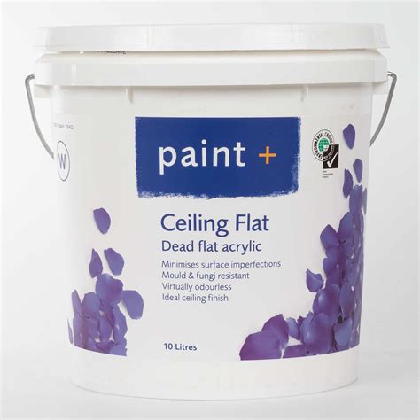 Ceiling Dead Flat Acrylic - Paint Centre