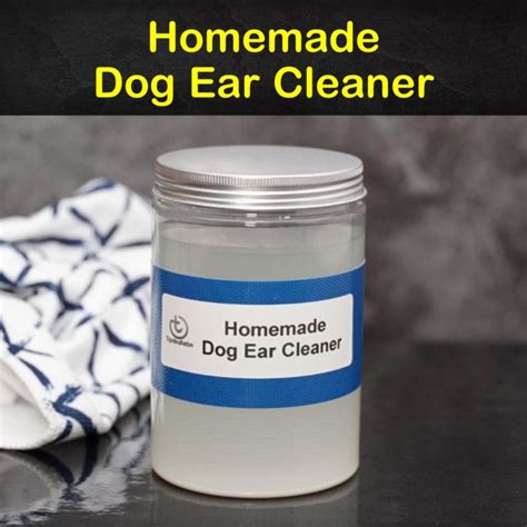 5 Homemade Dog Ear Cleaner Recipes