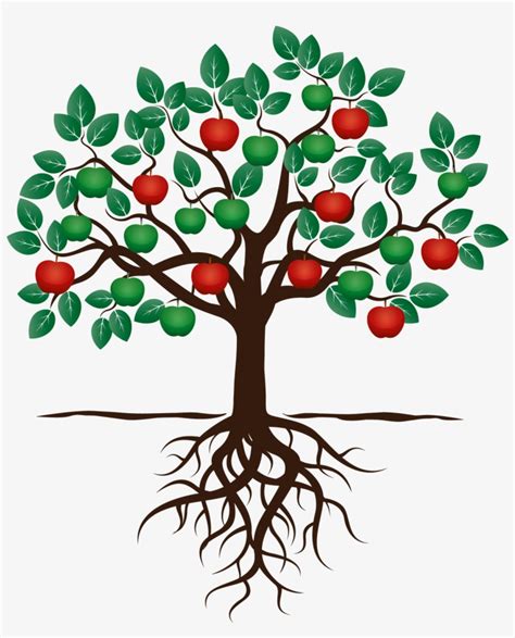 Apple Tree Drawing With Roots - Foto Kolekcija