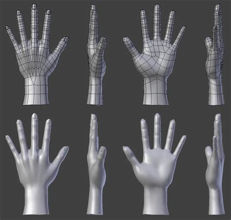 attachment.php (1024×975) | Anatomy reference, Hand model, Topology