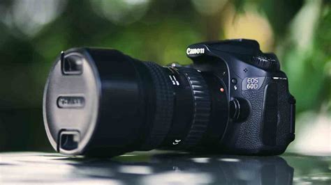 Best DSLR Camera For Beginners 2020: Reviews & Buyer’s Guide