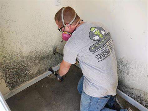 Black Mold Removal Services | Mold Removal Company