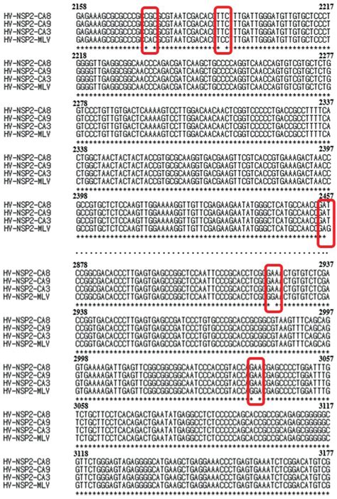 Nucleotide sequence alignment (A), and the deduced amino acid sequence ...