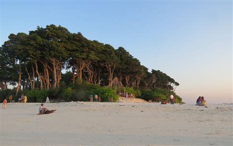 Neil Island Andaman - Andaman Beach Combing