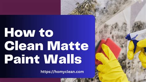 7 Best Hooks How To Clean Matte Paint Walls | Homyclean