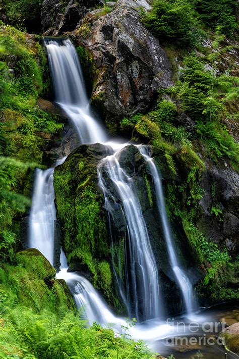 Triberg Waterfalls 2 Photograph by DiFigiano Photography