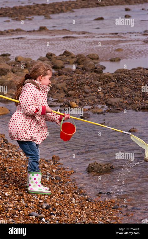 Children fishing with net in rockpool hi-res stock photography and images - Alamy