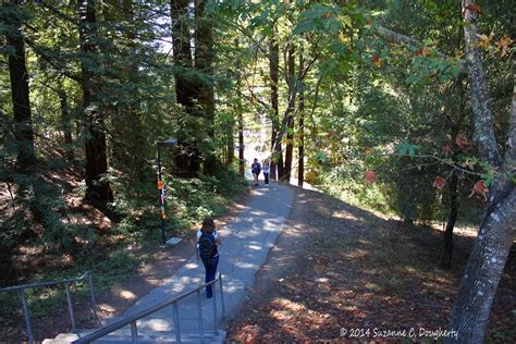 UC Santa Cruz Photos | University of California | Campuses