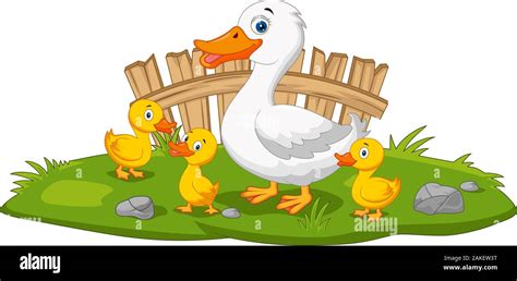 Cartoon happy mother duck and ducklings Stock Vector Image & Art - Alamy