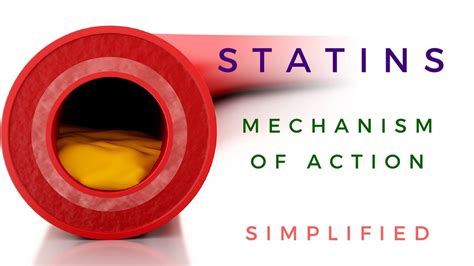 Statins Mechanism Of Action *Animated* - YouTube