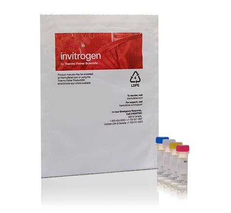 Cell Culture Contamination Detection Kit | lupon.gov.ph