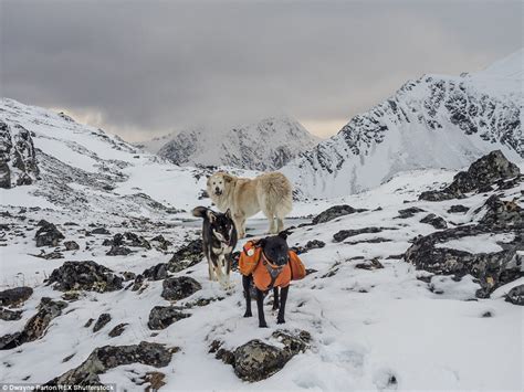 Photographer Dwayne Parton's stunning images of Alaska's Stampede Trail | Daily Mail Online