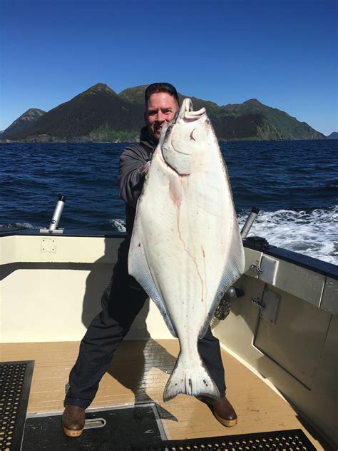 Homer Alaska Fishing Charters | Full Day, Combos, & Overnight Trips