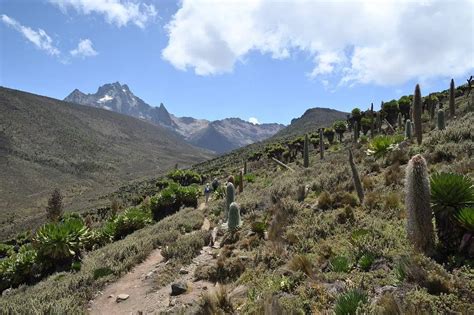 Mountaineering in Kenya | guided mountain climbing in Kenya