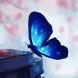 Butterfly Wallpaper 4k สำหรับ Android - ดาวน์โหลด