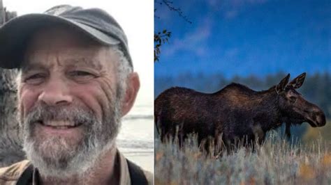 Man Killed By Moose While Attempting To Take Photos Of Calves • Hollywood Unlocked